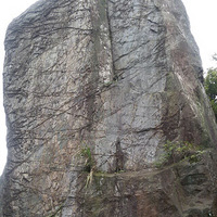 ̽��ƽ����