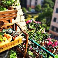 69ƽ���£����ҵļ�װ���˻�԰С��