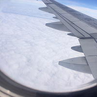 ���Ϲ�����������������