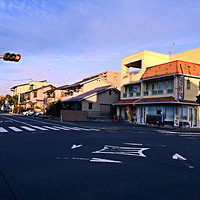 ��ʿɽ���ϵĶ�������