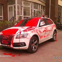 ��ͣ����úϼ�