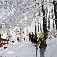 ����Ƭ�ܽ���2014���¿��