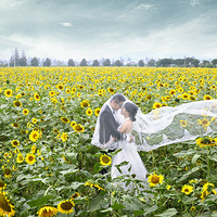 ���������ҵİ�ɴ�⾰����ҷ�����