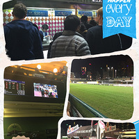 ����ҹ�л�