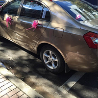 ��ɫ�鳵��