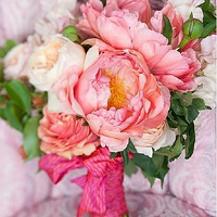 ��ɫϵ�����������ô��Ļ���������