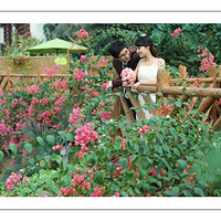 ɹɹ����������&�������ĵĻ�ɴ��