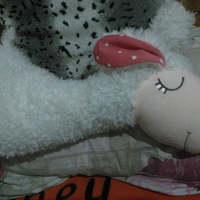 ����������౭��Ҵ�����+�������