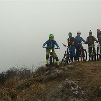 ����ɽ��������ԽҰ���ֲ������һ������ͼ�����У�