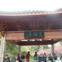 ��÷ͤ���ϵ���÷��