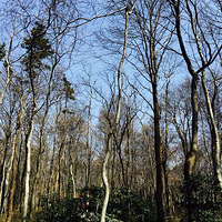 �����һ���Ͼ���һ�⣡