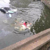 ո�·��������������������������