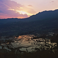 ��������ȥ���������ֻ�������