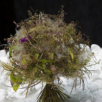 ��Щ�����������������