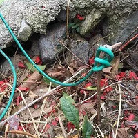 ��������˹����ũ����꣬��ν����磿