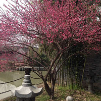 ÷����÷����������