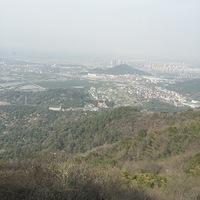 ��ɽ̽÷������