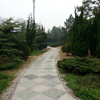 ���£��������̵�