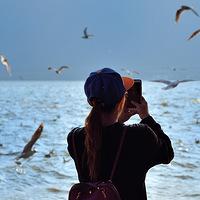 ������ϣ������棩