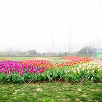 20�������������ʢ�ż��ˣ����й��ʻ����ῪĻ