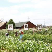 ��19¥�����Լ��Ρ�ȥ����ׯ԰��Ұ�׷������տ����ɲ�ݮ��