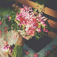 �ʻ�����