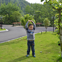 �㶫��Ͽ��