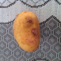 �ʺ�6�������ϵı�����ʳ---����������