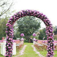 ��ƺ����