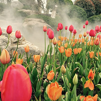 ������Ļ�����