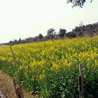 ���Ǽҵ��һ����ˣ���������Ŷ������֮������Ŷ��