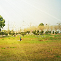 �����һ�����У�÷����