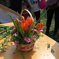 �����㻨���ᡰСС����������廨