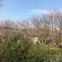 ��������һ����