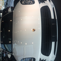 һ��С��ϲ������С����