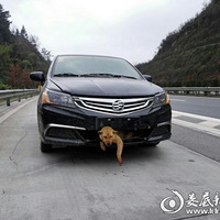 ���ٱ�ײ���Ѳ����� ������ǿ��400�����Խ��¦��