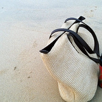 �����������ţ���������