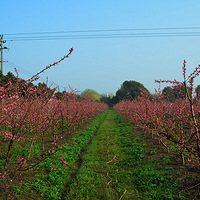 һ��һ��һ����