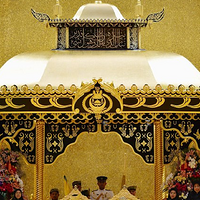 �������ӻ���¡���ݻ� ���ѣ�����������