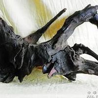 ������û����ȥ������Ĺ������Σ�