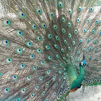 ������ĩ�������������������˷��죡