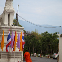 ��ã�������