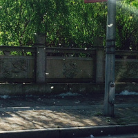 ����ͷ���ϡ���ë��ѩһ���ķ����������