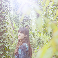 ������ϵС���£���о��ܸܵ�