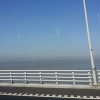 426������Լ���ſ�