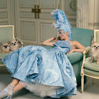 ��ɫ�Ļ������ ��������