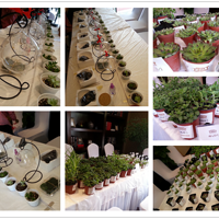 5.1����С���⣬Լ�����ž���VIP������������