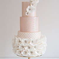 �ù����޷����ܵķ�ɫ���񵰸�