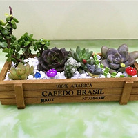 ����������౭��Ҵ�����+ �����Ӱ