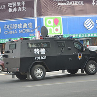 ����ͷ���ϡ�������·��ż��һͷ��ɫ���������ޡ�